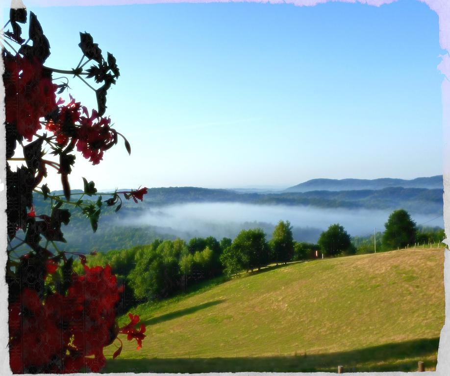 Hotel Srakovcic Heart Of Nature Ribnik Esterno foto